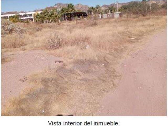 #184 - Área para Venta en Guaymas - SR - 2