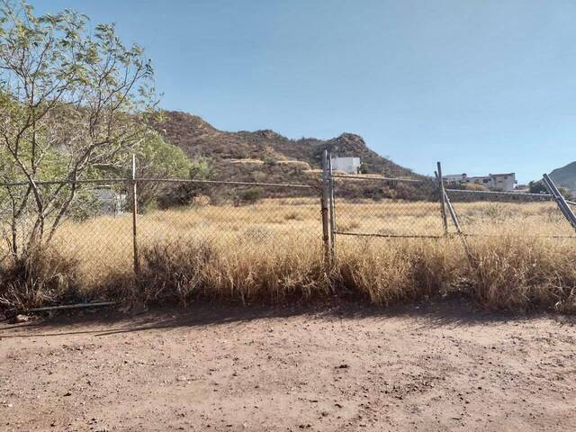 #204 - Área para Venta en Guaymas - SR - 3