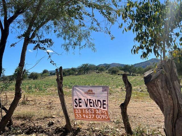 #251 - Área para Venta en San Martín Hidalgo - JC - 2