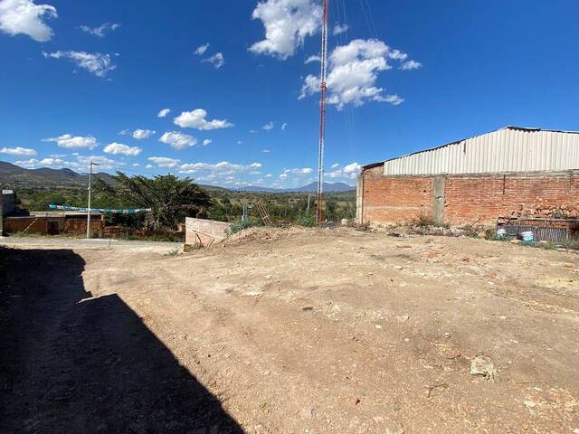 Venta en Santa Cruz de las Flores - San Martín Hidalgo